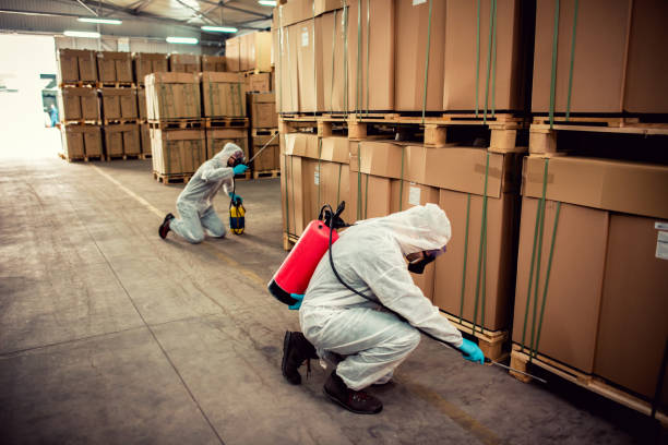 Best Commercial Pest Control Services  in Grandyle Village, NY