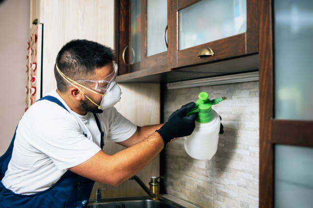 Best Flea Control Services  in Grandyle Village, NY