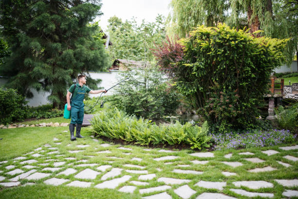 Best Wasp Removal Services  in Grandyle Village, NY