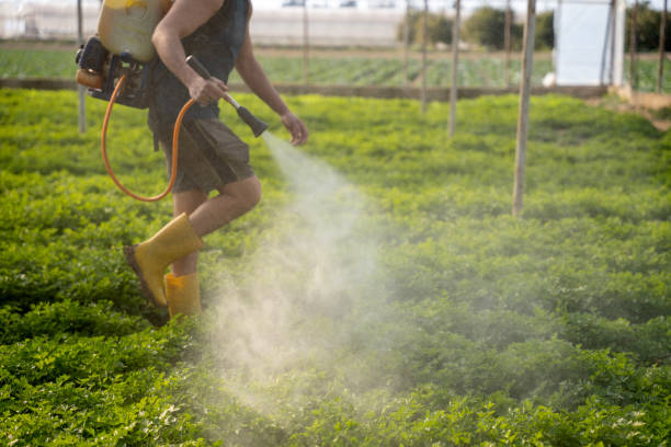 Best Pest Control Treatment  in Grandyle Village, NY