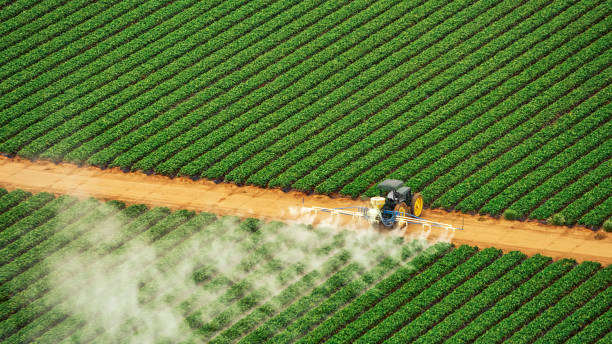 Best Pest Removal Services  in Grandyle Village, NY