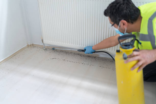 Best Residential Pest Control  in Grandyle Village, NY