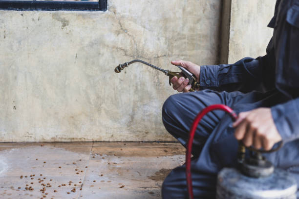 Best Pest Control Cost  in Grandyle Village, NY